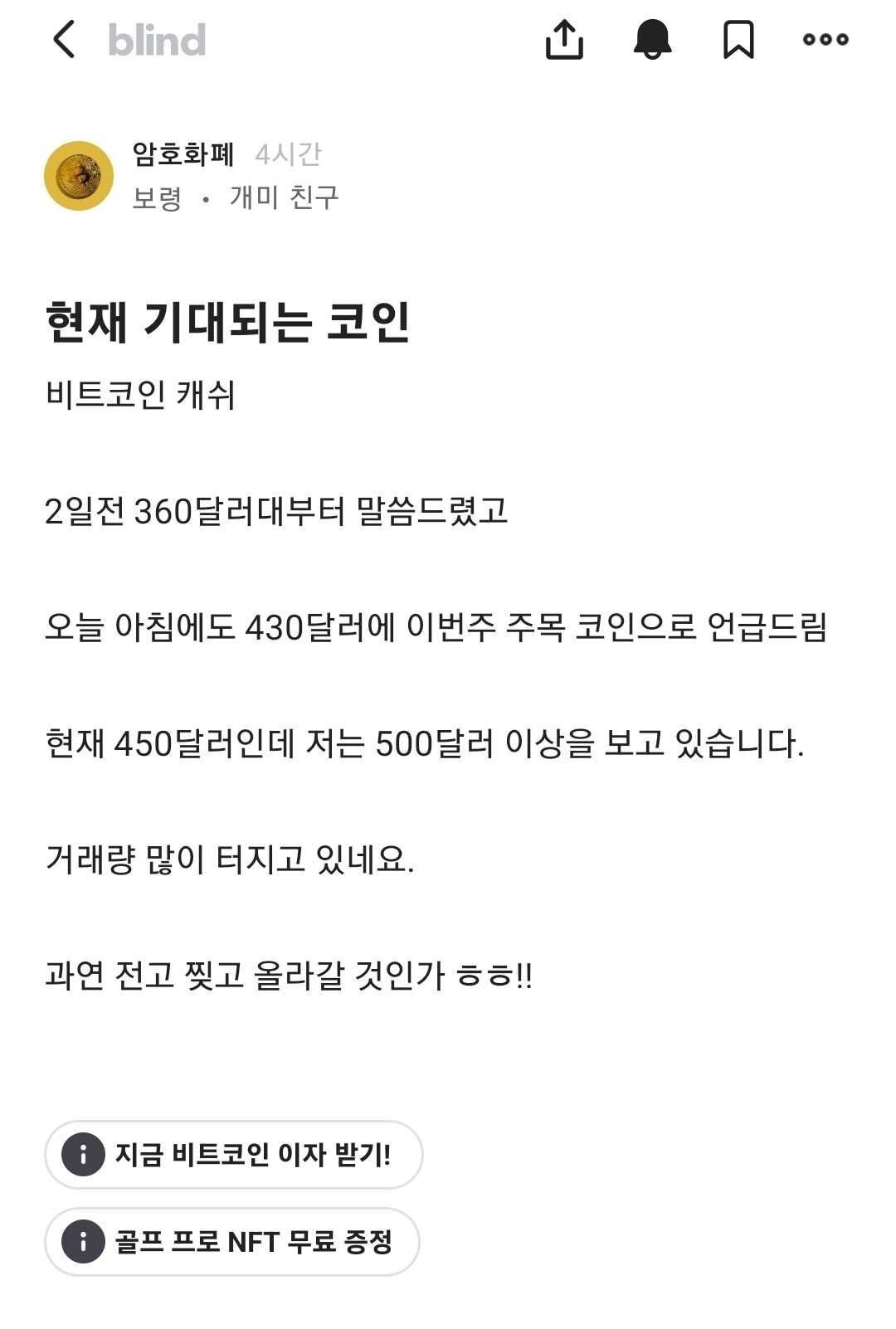 블라인드 | 암호화폐: 비트코인캐쉬