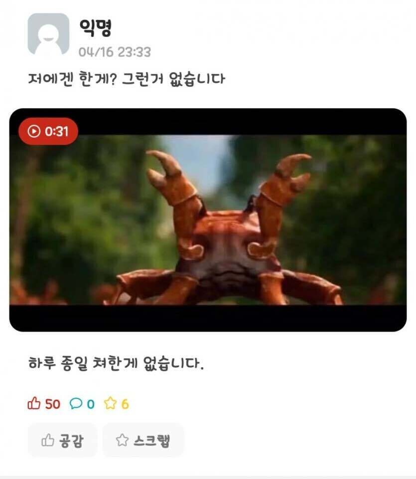 (짤) 시험기간의 대학생들