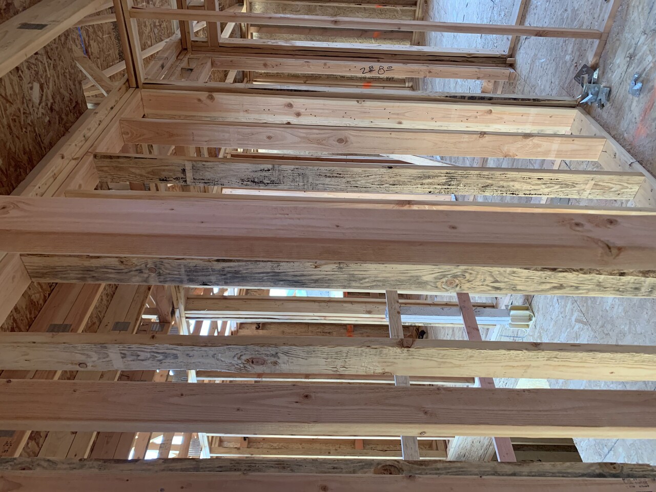 Mold in new construction house frame?