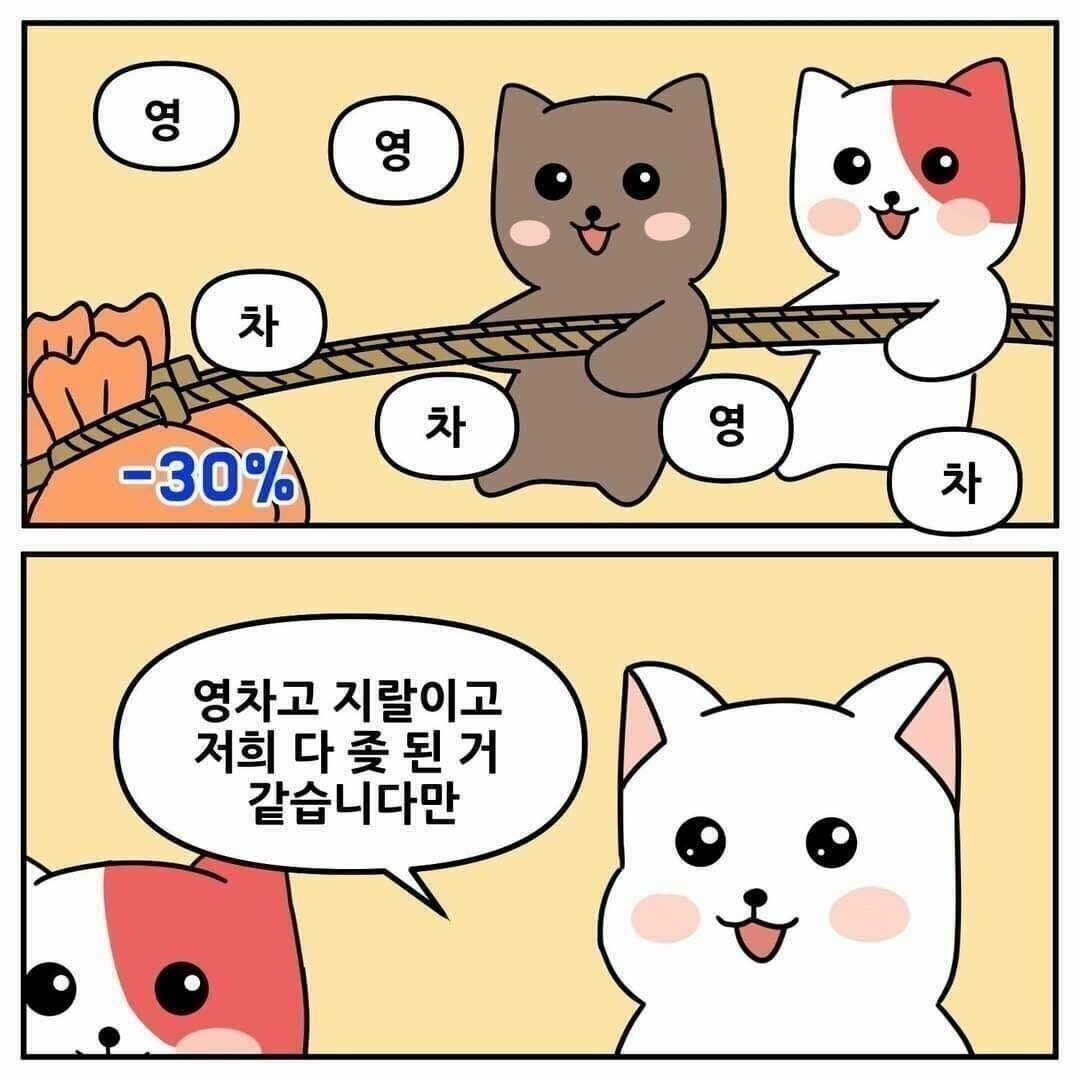 블라인드 | 암호화폐: 영차영차