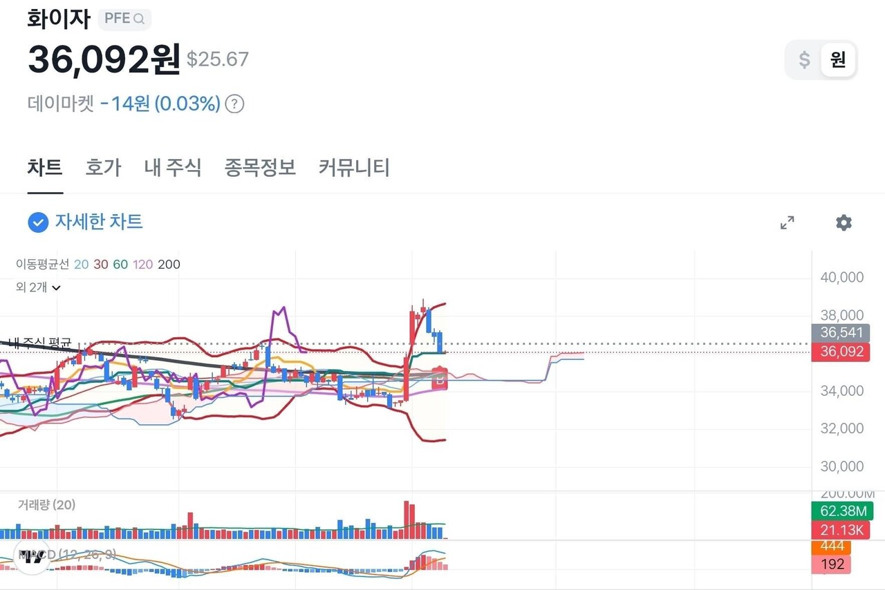 화이자 초보자 가이드 — 2026 투자 포인트
