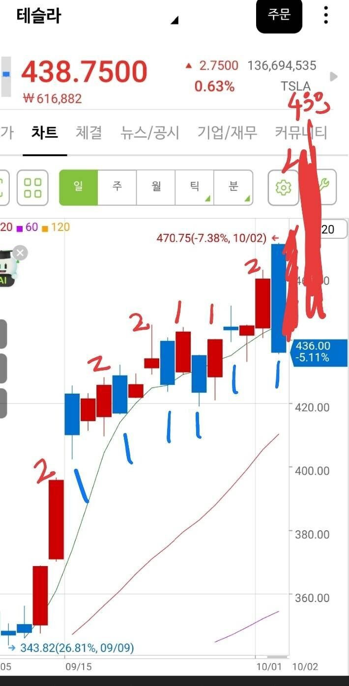 블라인드 | 주식·투자: 테슬라 패턴 분석(오늘의 방향성)