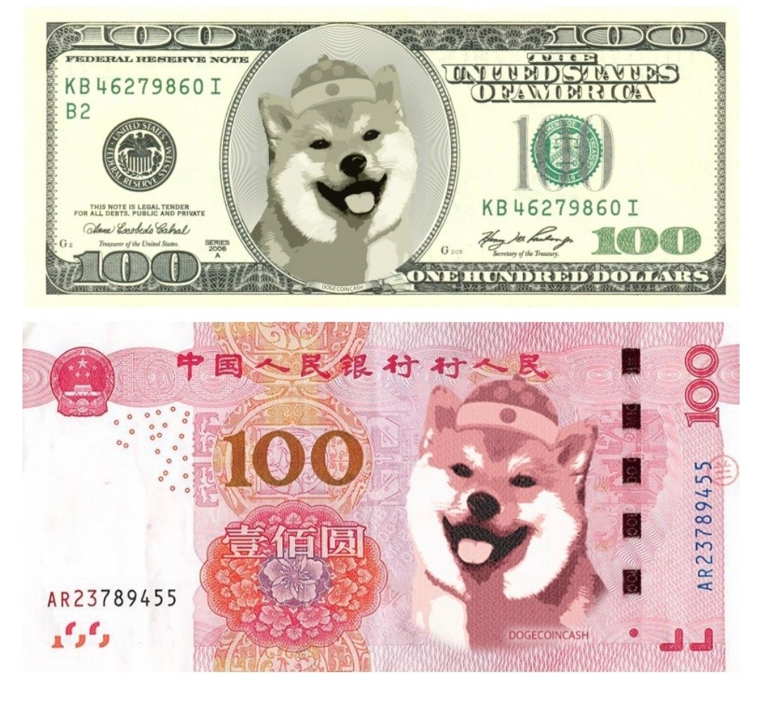 블라인드 | 암호화폐: 도지코인캐시 ㅎㅎㅎ