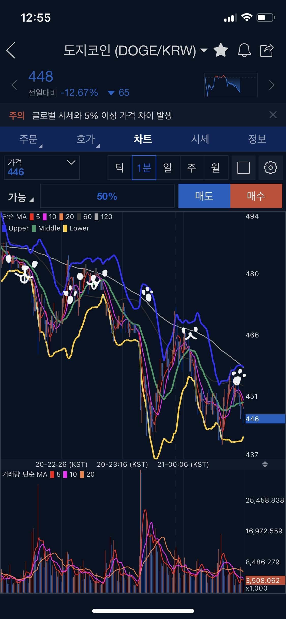 블라인드 | 암호화폐: 도지 차트분석
