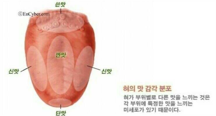 블라인드 | 블라블라: 혀 지도 이거 아시는분?