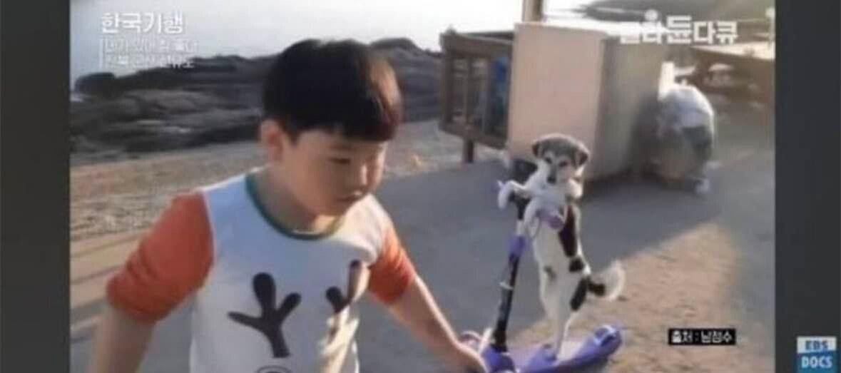블라인드 | 블라블라: 하응 이거미쳤다