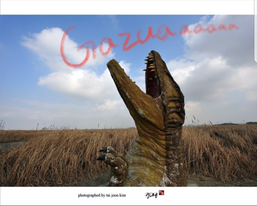 블라인드 | 암호화폐: 코모도 많이 쉬었다 아니가