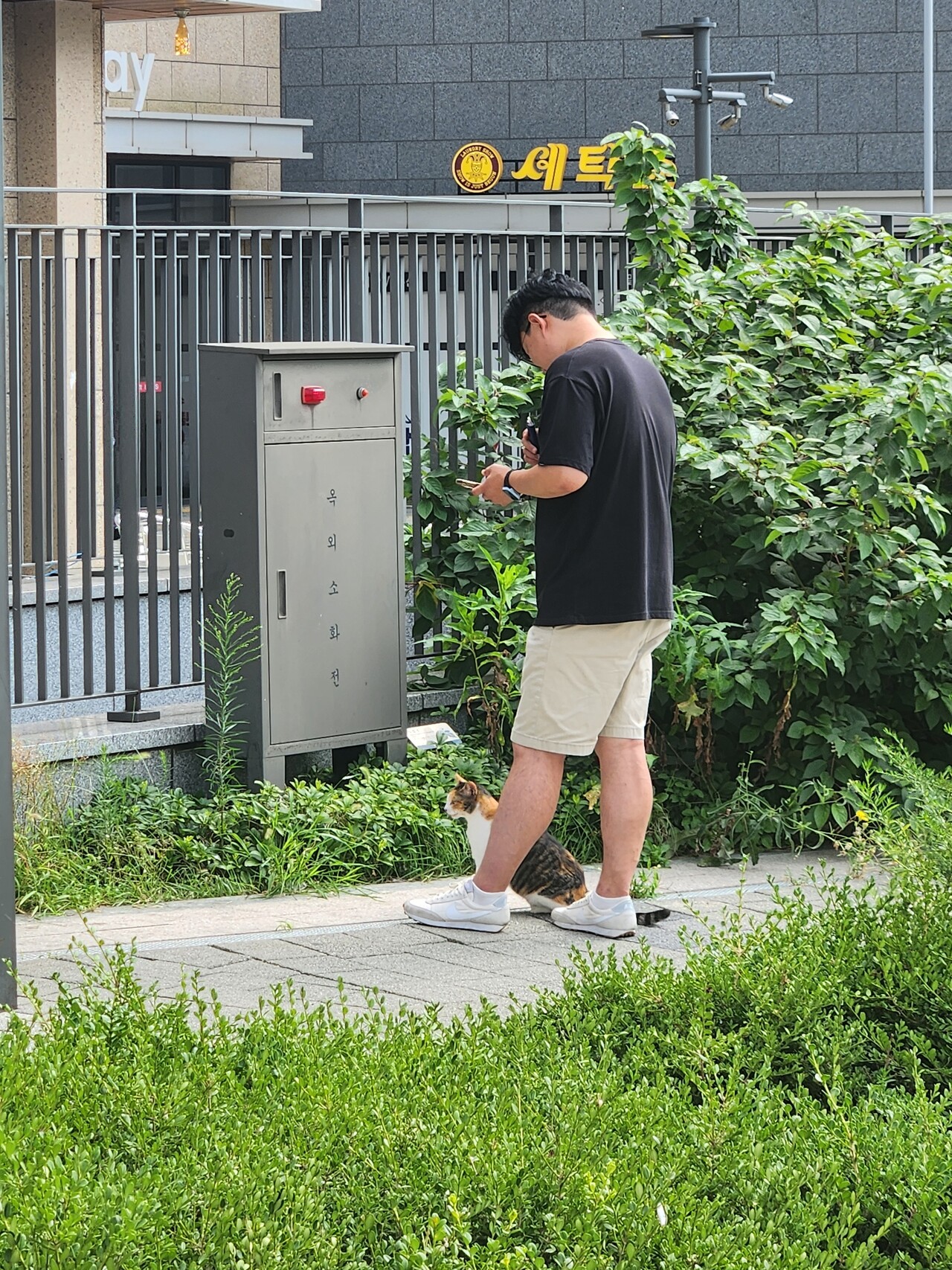 블라인드 | 주식·투자: 유한양행우